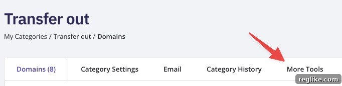 Export NameBright Authorization Codes in Volume 5 img 81994 4