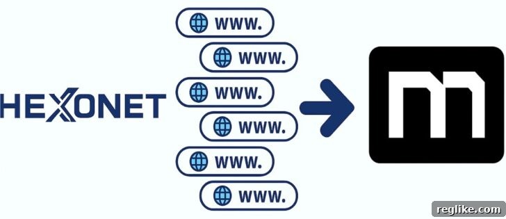 Hexonet logo showing domains migrating to Moniker logo