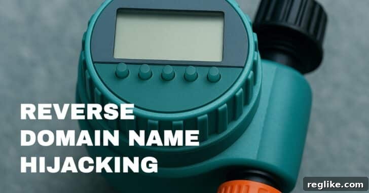 Entrepreneur Ventures to Reclaim His Digital Domain 2 Reverse Domain Name Hijacking Concept