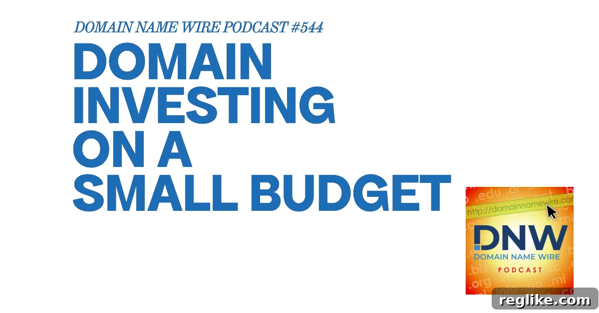 Budget-Friendly Domain Investing 2 A person looking at a laptop screen with domain names, symbolizing domain investing and the potential to turn a small investment into profit.