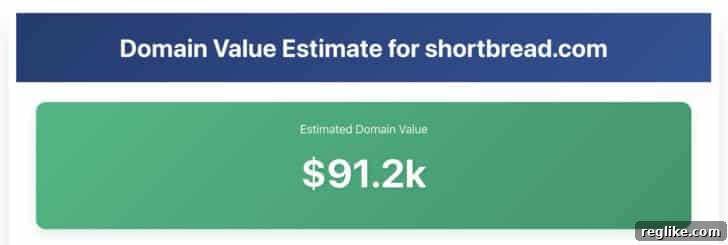 DomainValue results showing valuation metrics