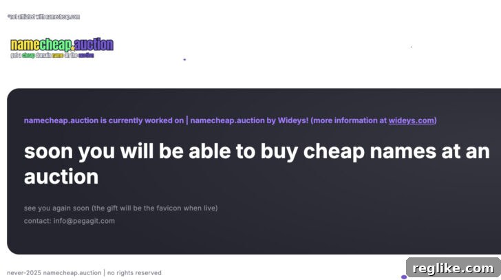 Namecheap .auctions screen capture