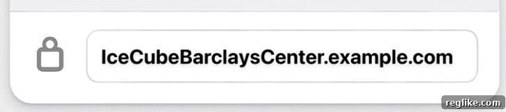 States Combat Misleading Domain Names 2 Example URL of IceCubBarclaysCenter.example.com illustrating deceptive domain use