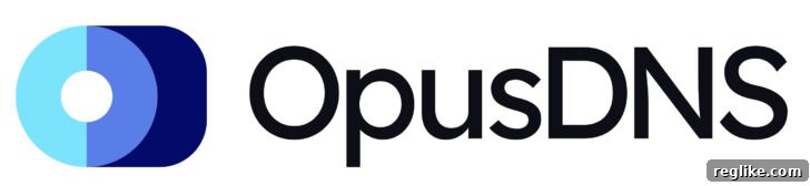 OpusDNS Debuts Innovative Domain Reseller Platform 2 OpusDNS logo