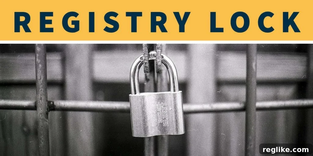 A padlock icon with the words "Registry Lock" above it, symbolizing enhanced domain security.