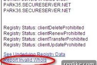GoDaddy Streamlines Invalid Whois Reporting