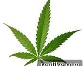 Altria Plots Cannabis Market Entry