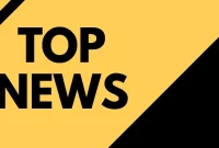 November’s Domain Digest: Key Stories and Trends