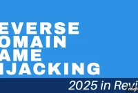 2025 Retrospective: Combating Domain Name Grab Backs