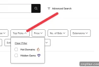 GoDaddy Auctions Unearths Hidden Gems in Searched Domains