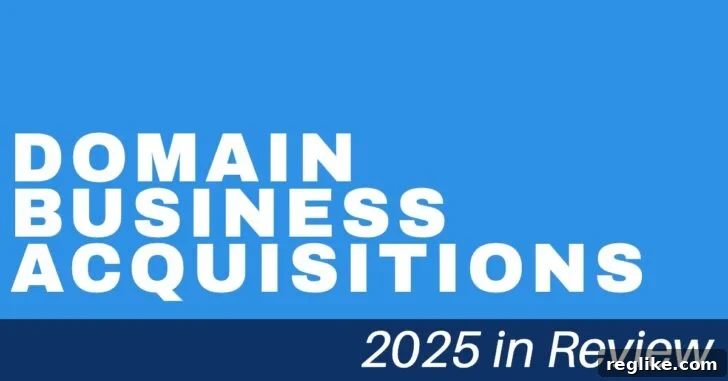 2025 Domain Acquisition Highlights: A Year in Review 2 Domain Industry Acquisitions in 2025