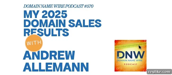 My 2025 Domain Sales Journey: A DNW Podcast Recap 2 Domain Investing Performance Overview