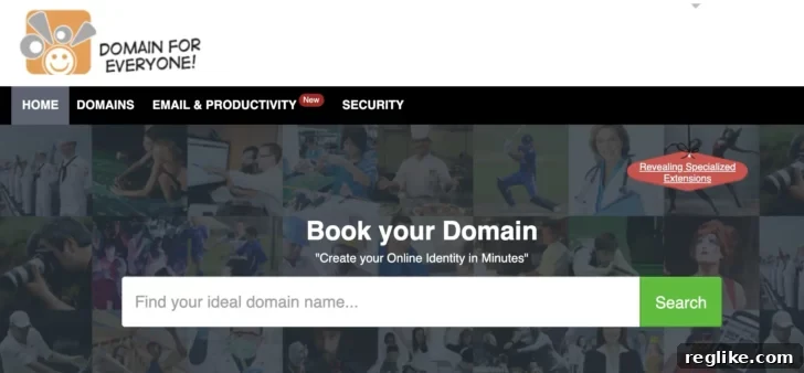 ICANN Cracks Down on Small Registrar 2 Homepage for 0101domain showing ICANN termination