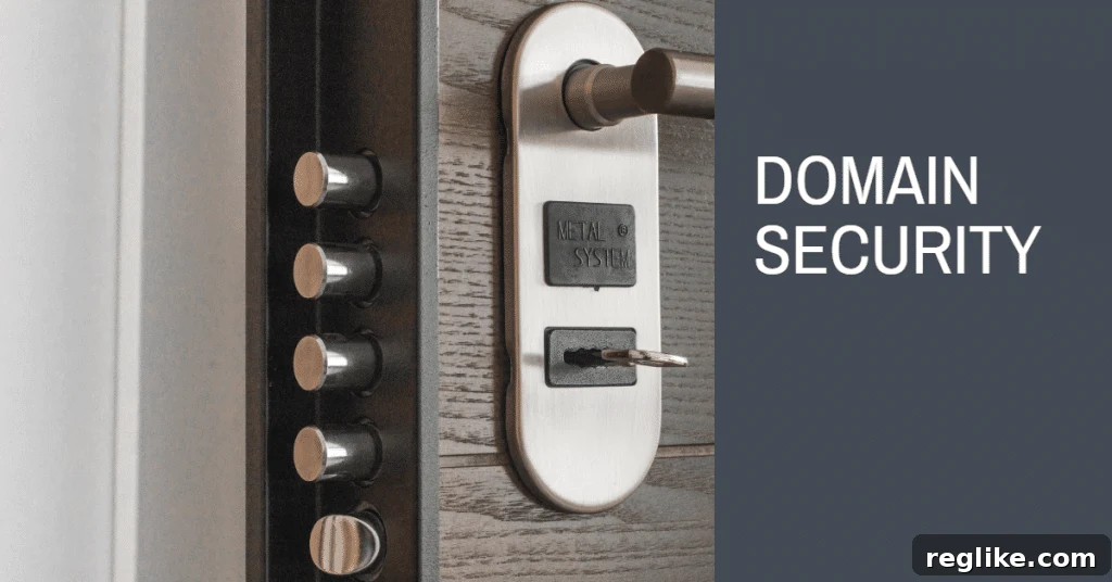 DMARC and Registry Lock Adoption on the Rise: A CSC Domain Security Report 2 Domain Security: A Lock Symbolizing Protection with Multiple Bolts