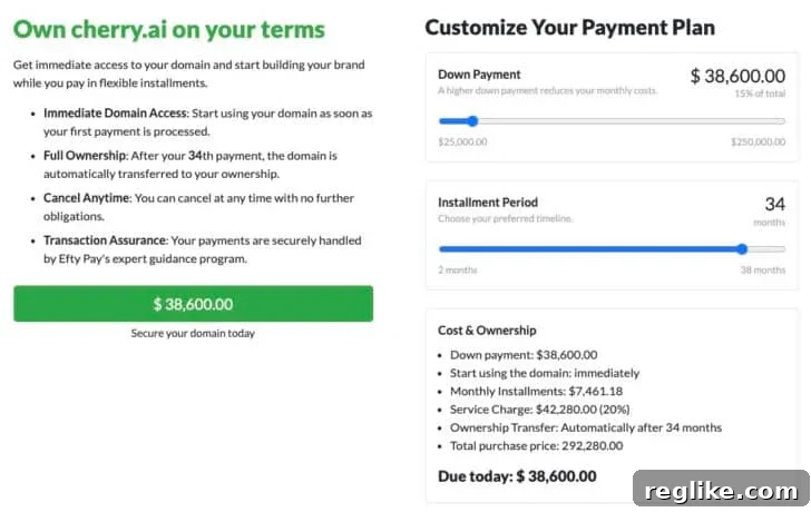 Efty Introduces Rent-to-Own Option for Domain Acquisitions 2 Efty Lease-to-Own Example: Flexible Payment Options