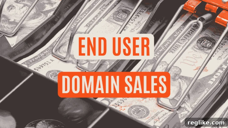 19 New Domains Acquired by End Users 2 End user domain sales over cash register drawer