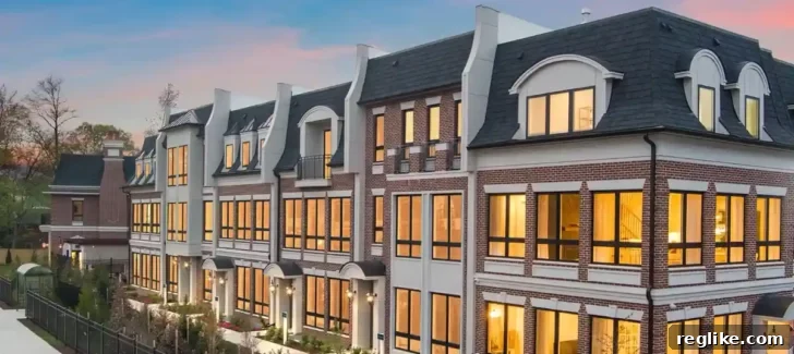 Developer Accused of Reverse Domain Name Hijacking in Property Dispute 2 Chain Bridge Estates building