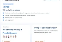 Saw.com Domain Appraisal Review: Issues with Two-Word Domains