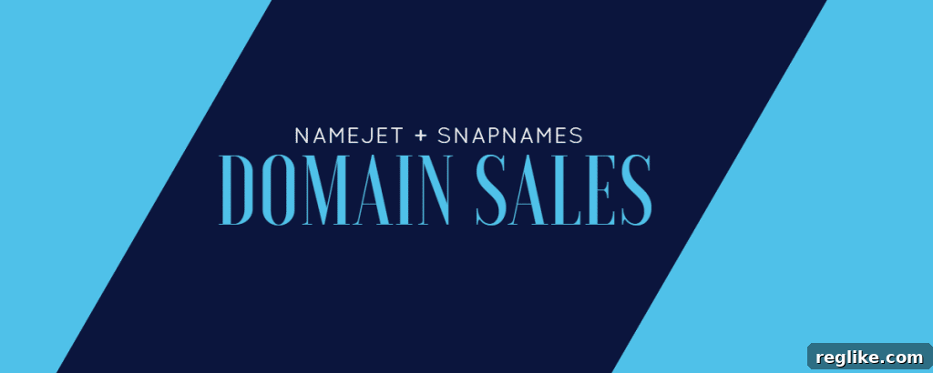 Graphic that says Namejet + SnapNames Domain Sales