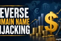 Financial Firm Accuses Domain Owner of Reverse Domain Hijacking
