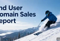End-User Domain Sales: $30K .dev Deal Revealed