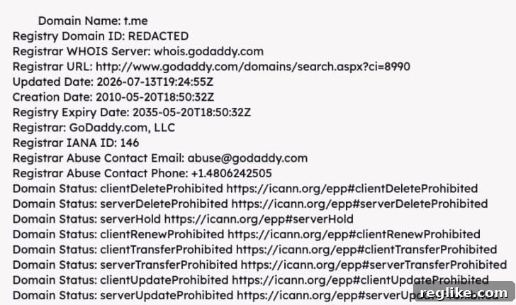 Telegram t.me Domain Suspension Causes Widespread Outages 2 t.me whois record