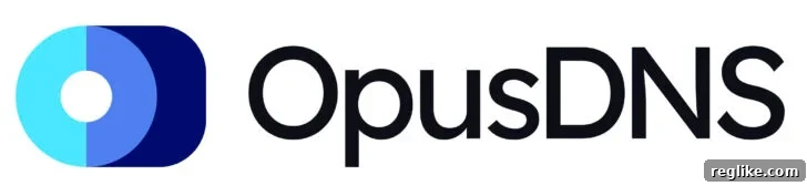 OpusDNS Adjusts Domain Registration Pricing: What You Need to Know 2 OpusDNS logo