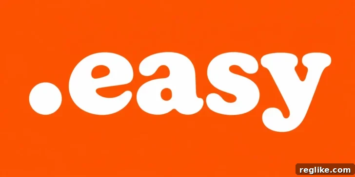 easyGroup Applies for .easy Top-Level Domain 2 img 85260 1