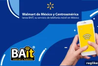Panelist Denies Walmart Cybersquatting Claim in Domain Dispute