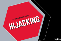 Hudson’s Detroit Developer Attempts to Reverse Domain Hijacking