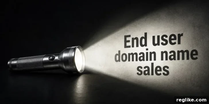 New Domain Names Purchased by Maglite and Other Companies 2 flashlight