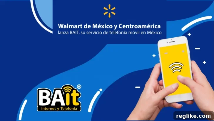Panelist Denies Walmart Cybersquatting Claim in Domain Dispute 2 Walmart BAit