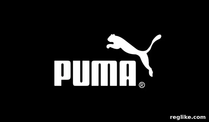 Puma Loses Cybersquatting Case Over Mexican Domain 2 img 85374 1