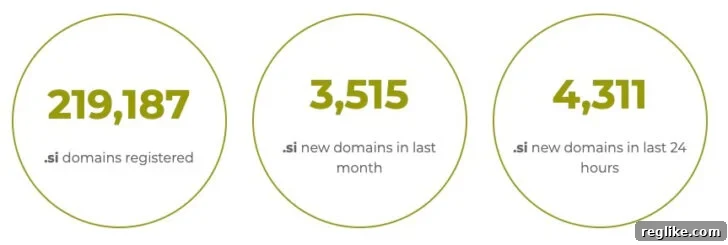 Slovenia .si domain registration data